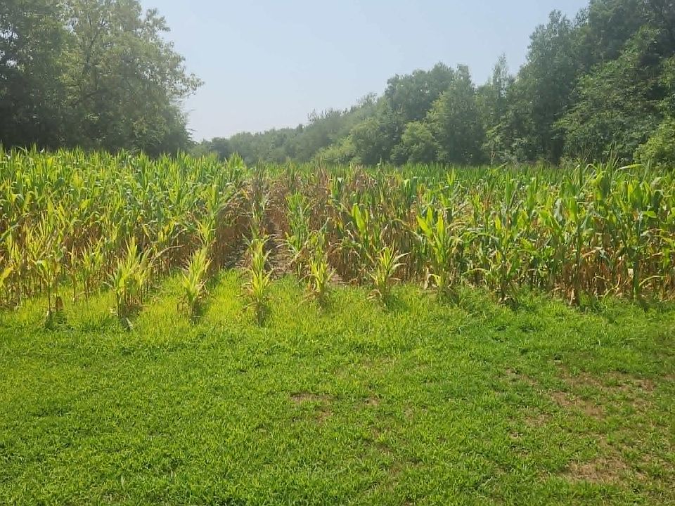 2nd image of 220th Ave Lot 2