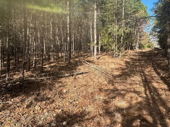 19875 Golden Trails, Raymondville, MO 65555