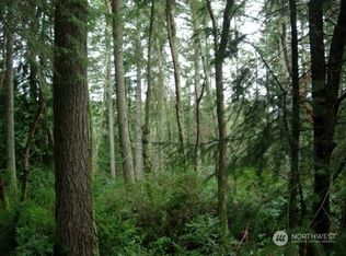 11415 87th Street Ct E, Anderson Island, WA 98303