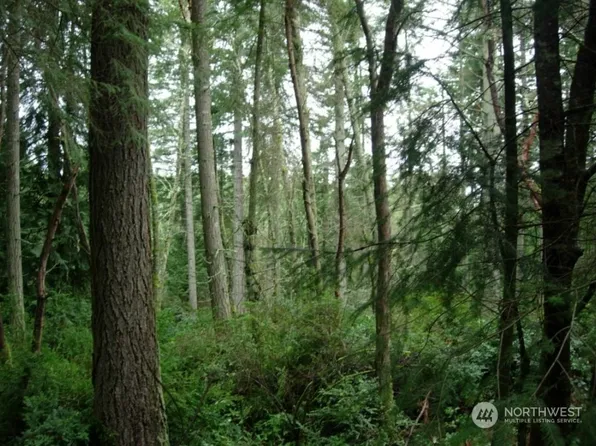 11415 87th Street Ct E, Anderson Island, WA 98303