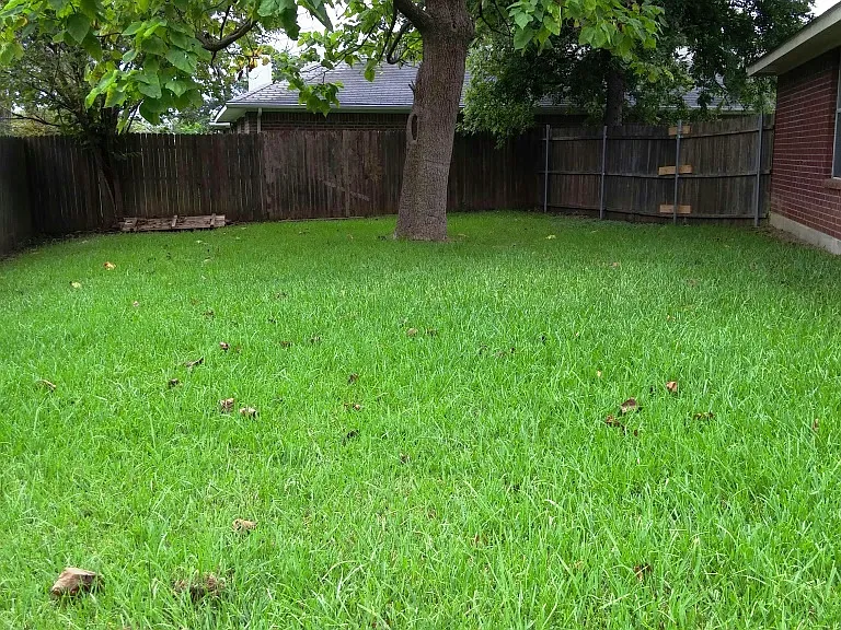 2701 Claireisa Ct — Photo 9