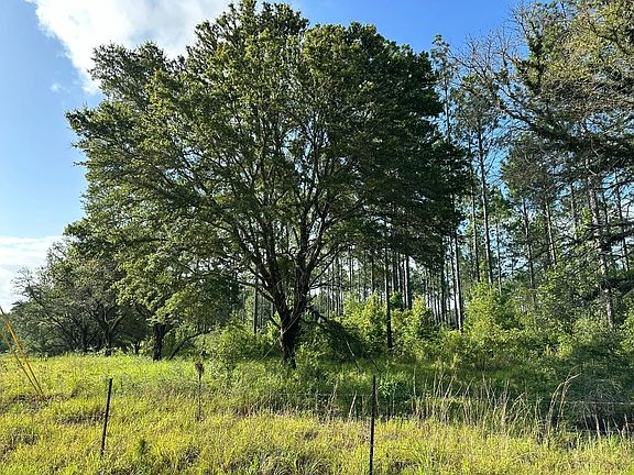 2nd image of 1915 Little Black Creek Rd