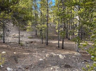 267 Birch Dr #323, Twin Lakes, CO 81251