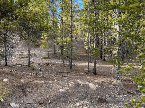 267 Birch Drive LOT 323, Twin Lakes, CO 81251