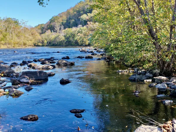 3650 Barger Springs Rd, Forest Hill, WV 24935