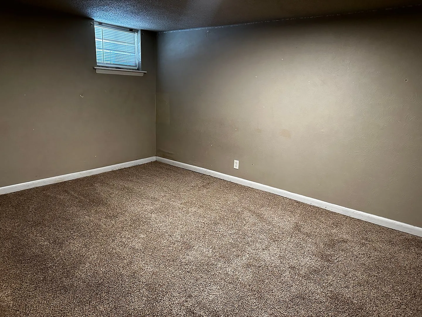 Prime UNC 3 bed House — Photo 3