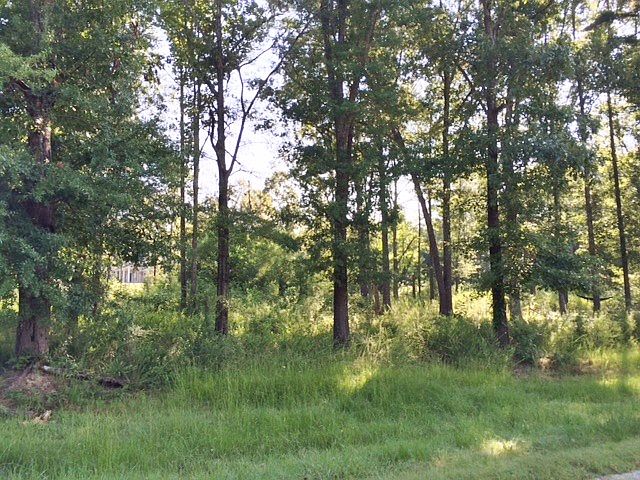 2nd image of Timber Creek Dr