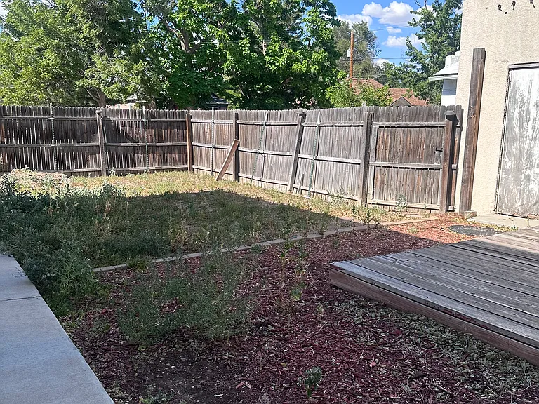 Backyard