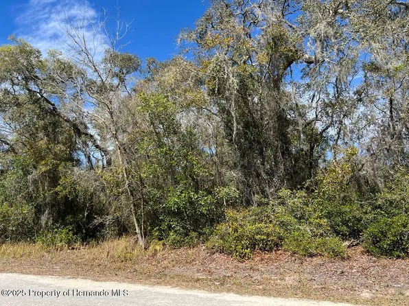 LOT 26 Riverstone St, Webster, FL 33597