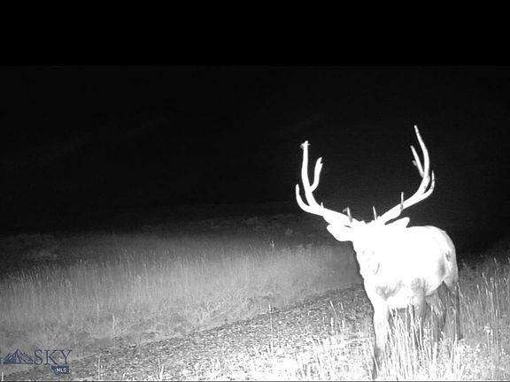 5th image of Springhill Vistas Ranch At Four Bar Ranches
