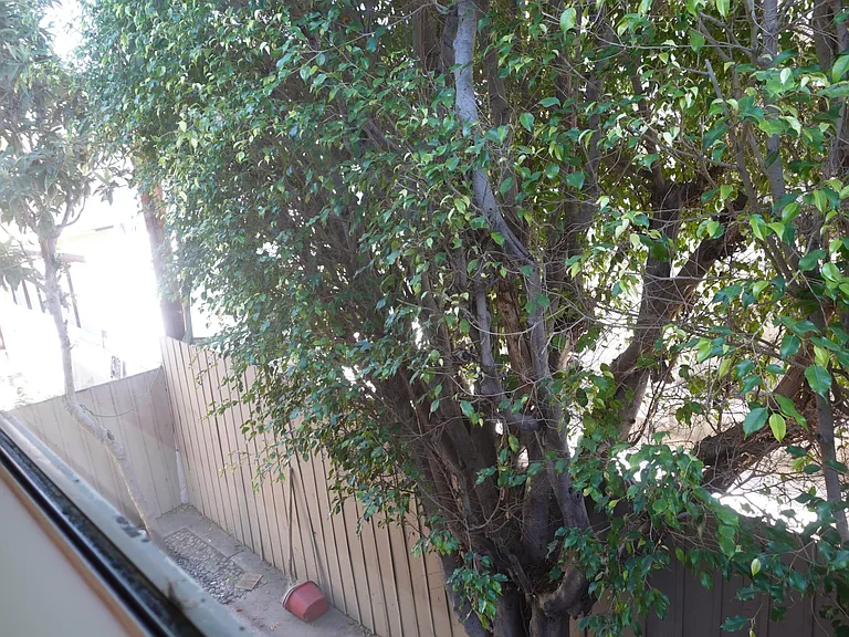 546 N Flores St #6 — Photo 39