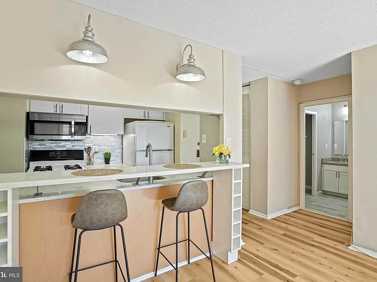 11801 Rockville Pike #207 — Photo 19