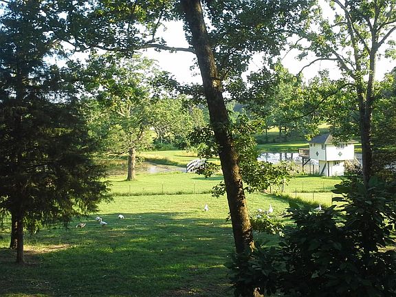 Pond view from upper deck.