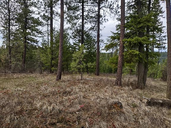 3rd image of Xx Lyons Hill Rd