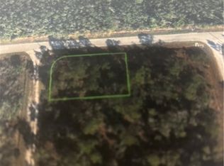 100 Eula Rd NW, Lake Placid, FL 33852