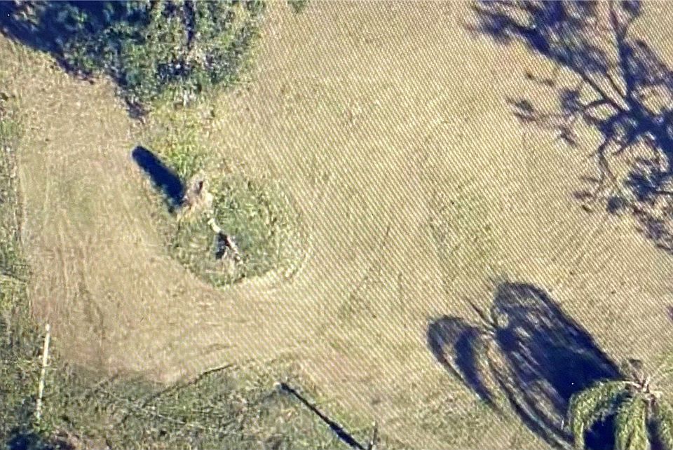 1st image of 8240 Sevigny Dr