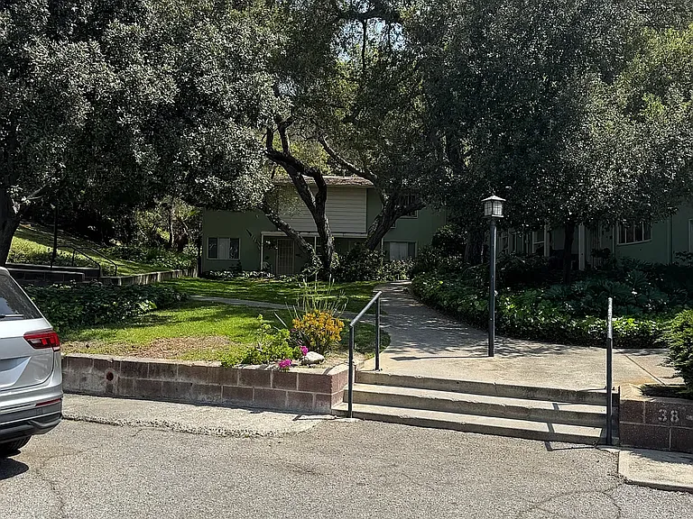 Verdugo Verde — Photo 7