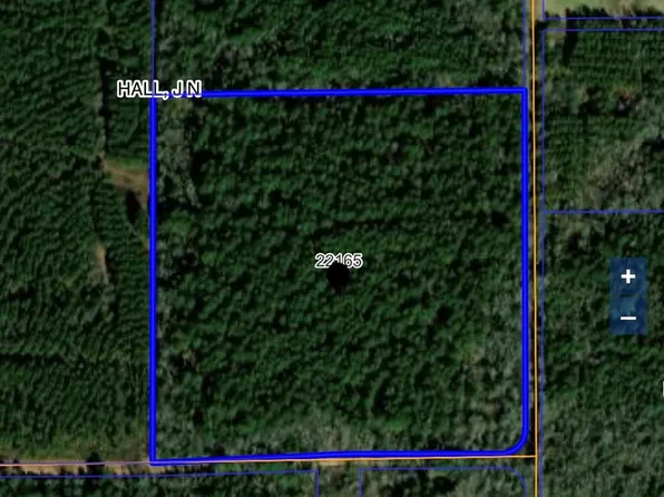 County Road 4208, Simms, TX 75574