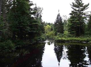 Gouchie Rd, Minerva, NY 12851