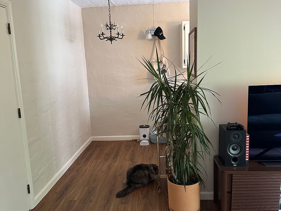 1st image of 668 Linwood Ave NE #8