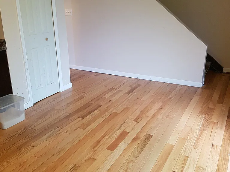232 Robert Dr — Photo 4