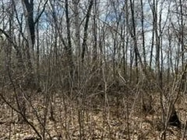 Opal Ln, Cushing, MN 56443