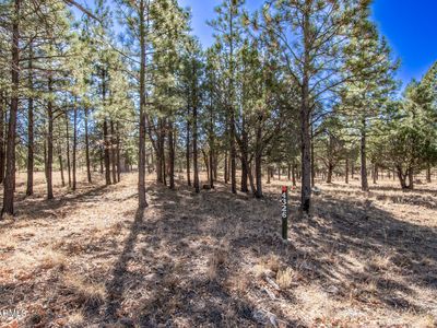 4326 Timberline Dr LOT 142, Happy Jack, AZ, 86024