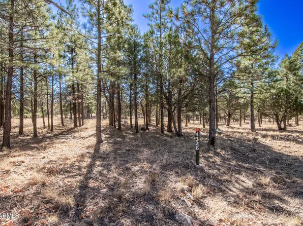 4326 TIMBERLINE Drive #142, Happy Jack, AZ 86024