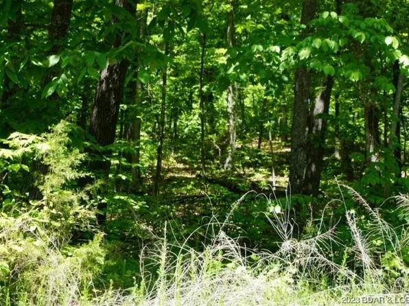 1380 Via Del Lago Dr, Sunrise Beach, MO 65079