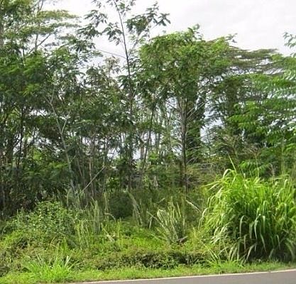 1st image of Kahakai Blvd Lot 1260