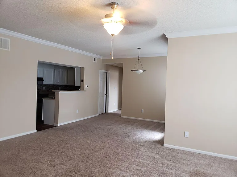 Pinnacle Woods — Photo 34