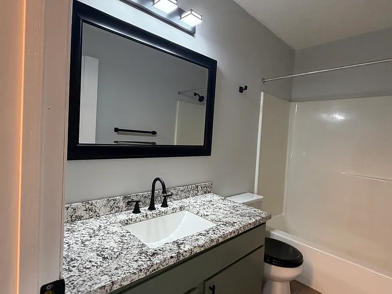View of bathroom vanity, mirror, toilet, lighting and shower,