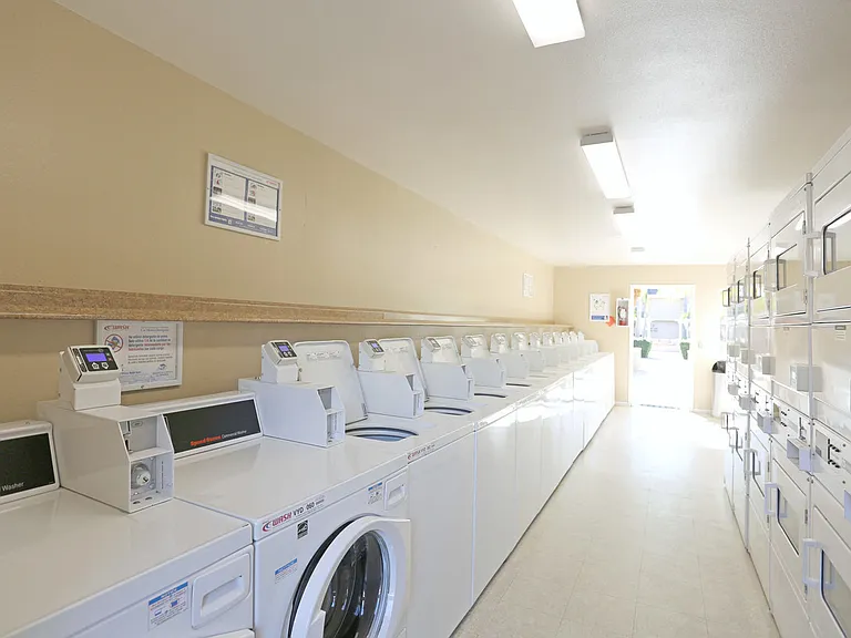 Picture of Laundry Room with all washers and dryers in view