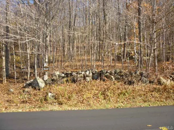 784 E Branch Rd, Patterson, NY 12563