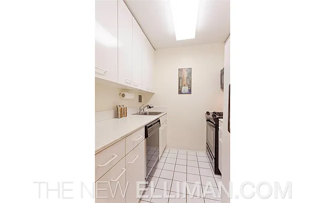 Rented by Douglas Elliman | media 2