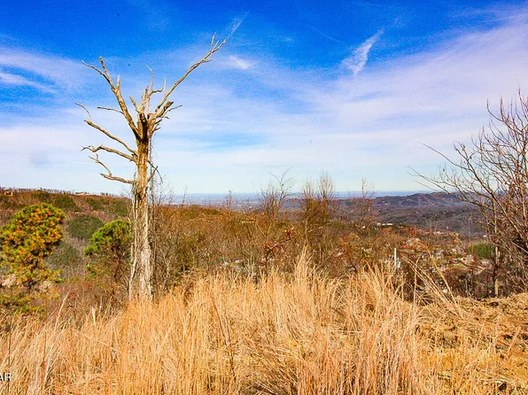 915 Piney Butt Way, Gatlinburg, TN 37738