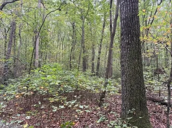 2 Tipple Rd Lot 2, Tracy City, TN 37387