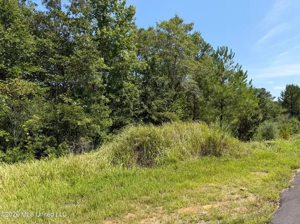 Beesley Rd, Lucedale, MS 39452
