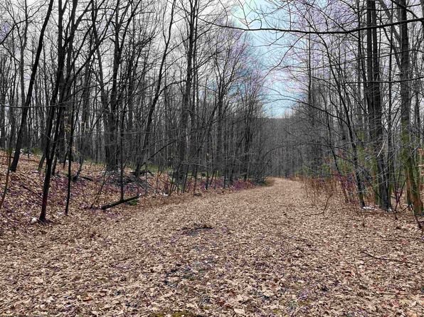 28 Hobbits Glen Rd, Masontown, WV 26542