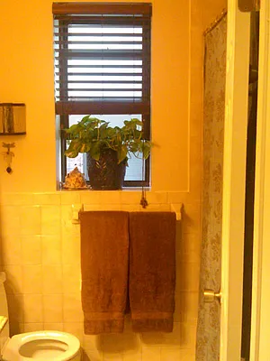 Rented by JK Dansar Corp | media 23