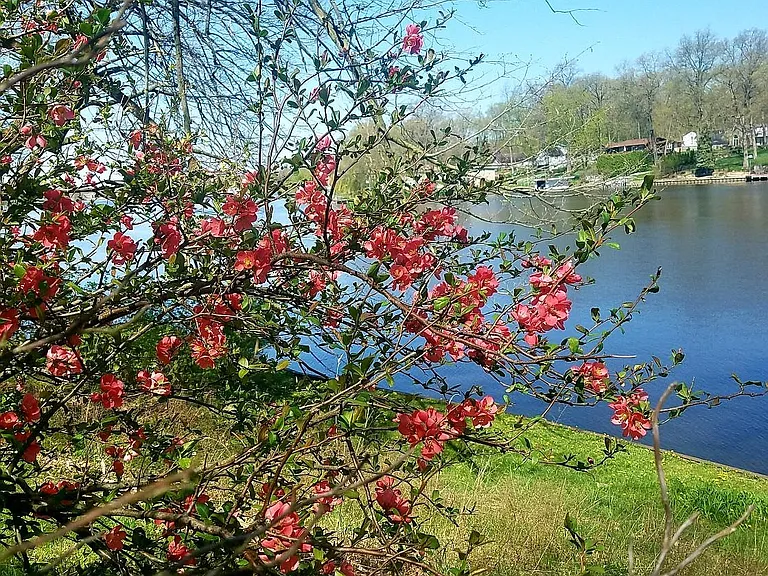 Vistula Rd — Photo 19