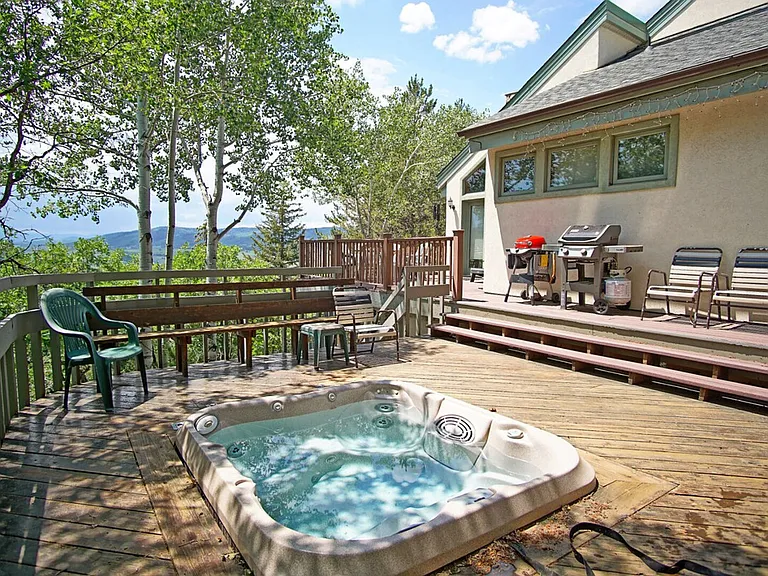 2460 Ski Trail Ln #ID1564281P — Photo 24