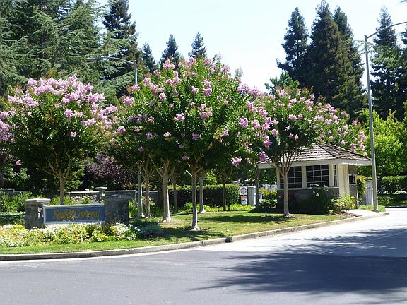 2nd image of 219 Kingsford Ln