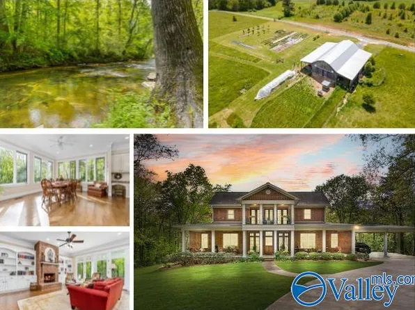 3475 County Road 94, Fyffe, AL 35971