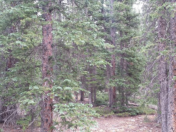 WEST SIDE OF PROPERTY