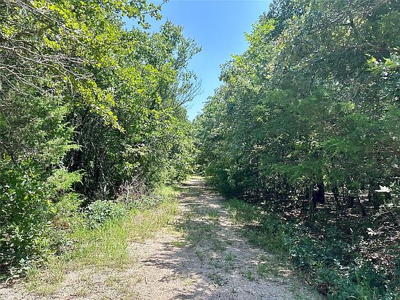 4th image of Twisted Oaks Rd