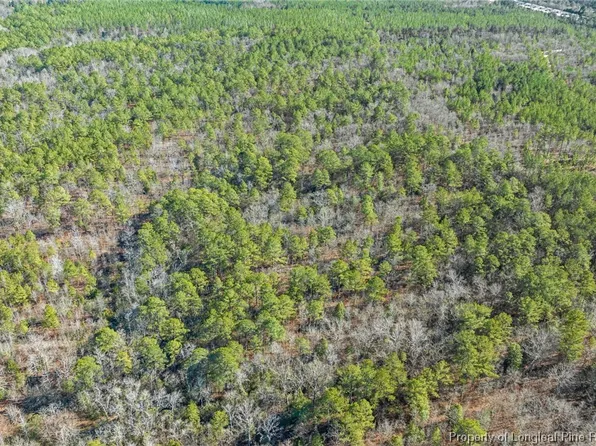 McKoy Town Off Road Trl #12, Sanford, NC 27330
