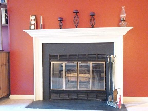 Wood Burning Fireplace