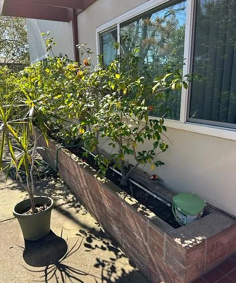2162 Ash St #2162 — Photo 3