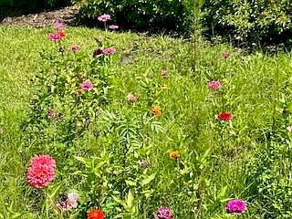 7th image of this home